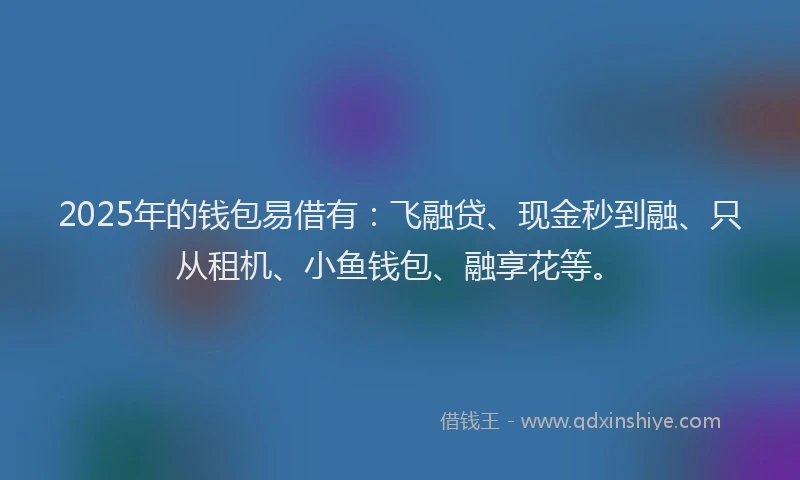2025年的钱包易借有：飞融贷、现金秒到融、只从租机、小鱼钱包、融享花等。