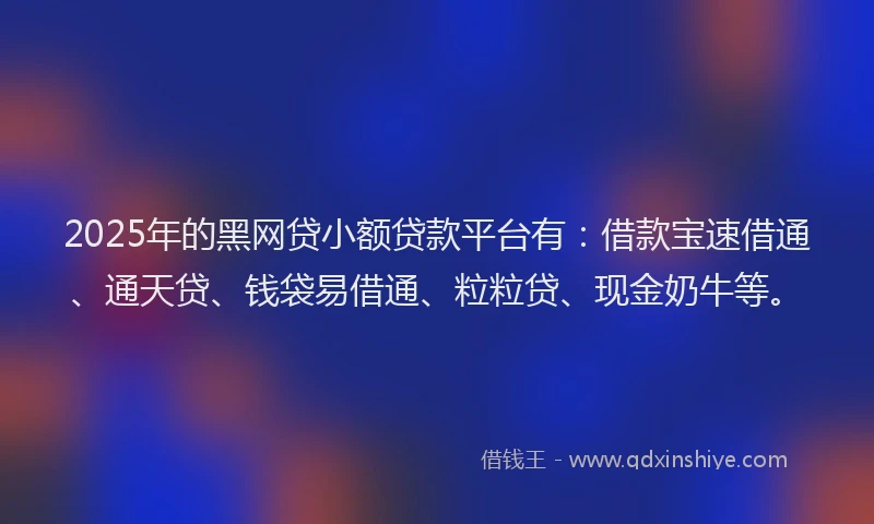 2025年的黑网贷小额贷款平台有：借款宝速借通、通天贷、钱袋易借通、粒粒贷、现金奶牛等。