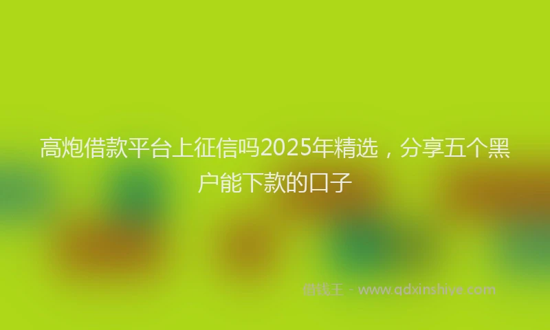 高炮借款平台上征信吗2025年精选，分享五个黑户能下款的口子