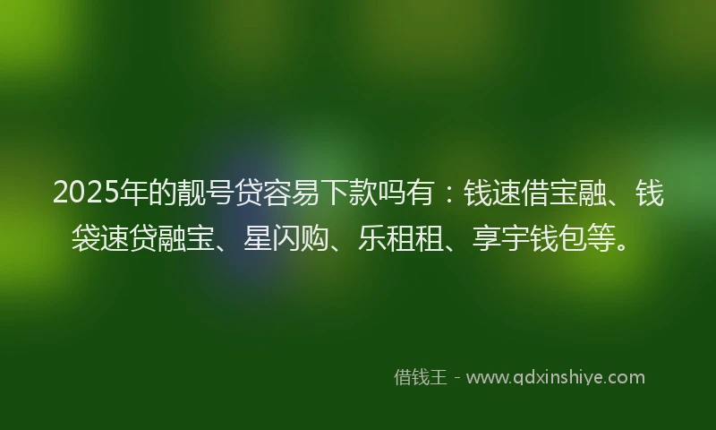 2025年的靓号贷容易下款吗有：钱速借宝融、钱袋速贷融宝、星闪购、乐租租、享宇钱包等。