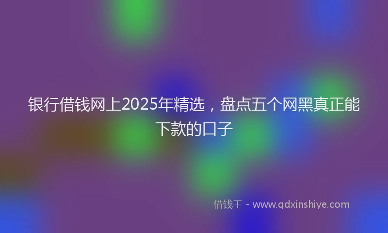 银行借钱网上2025年精选，盘点五个网黑真正能下款的口子