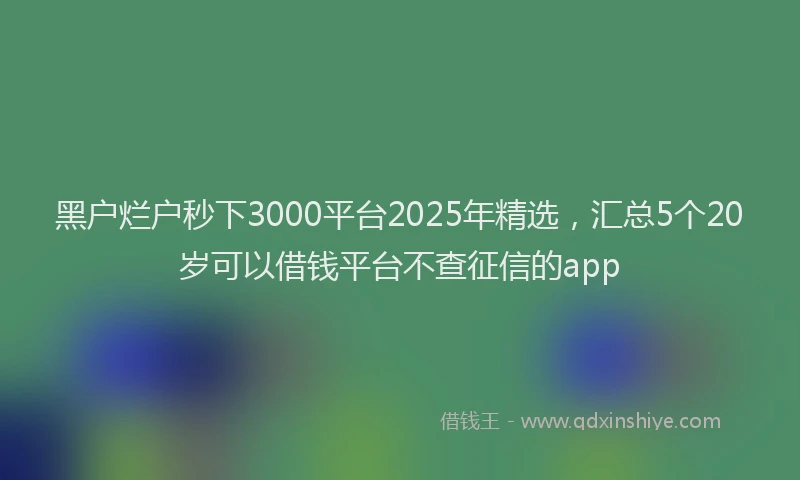 黑户烂户秒下3000平台2025年精选，汇总5个20岁可以借钱平台不查征信的app