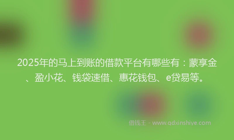 2025年的马上到账的借款平台有哪些有：蒙享金、盈小花、钱袋速借、惠花钱包、e贷易等。