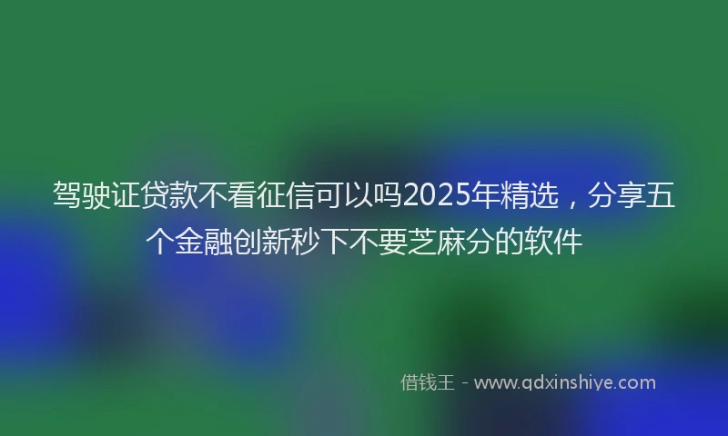 驾驶证贷款不看征信可以吗2025年精选，分享五个金融创新秒下不要芝麻分的软件