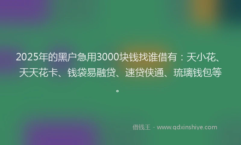 2025年的黑户急用3000块钱找谁借有：天小花、天天花卡、钱袋易融贷、速贷侠通、琉璃钱包等。