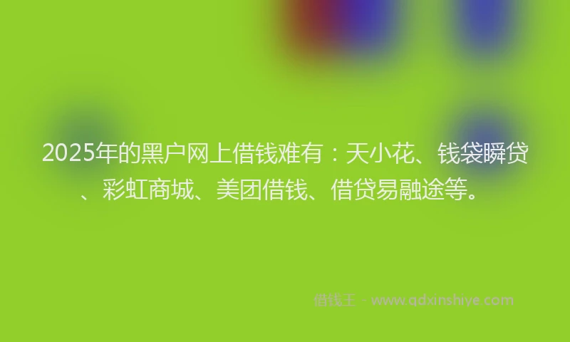 2025年的黑户网上借钱难有：天小花、钱袋瞬贷、彩虹商城、美团借钱、借贷易融途等。