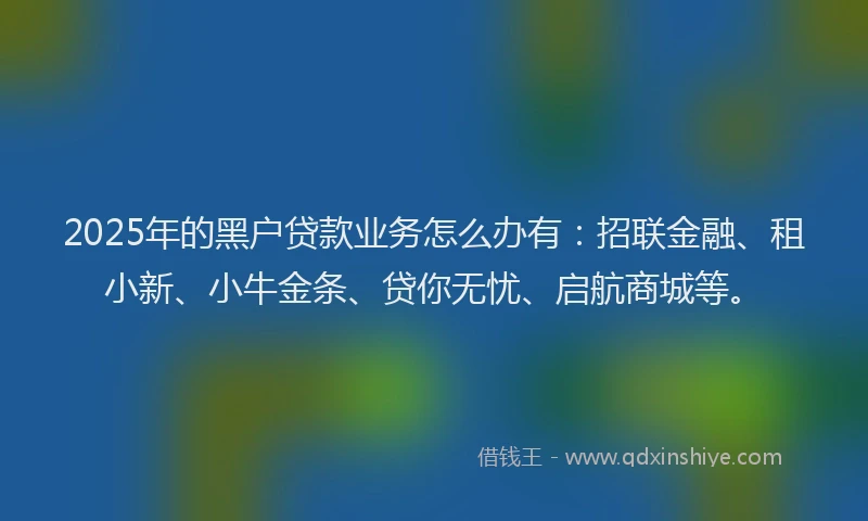 2025年的黑户贷款业务怎么办有：招联金融、租小新、小牛金条、贷你无忧、启航商城等。