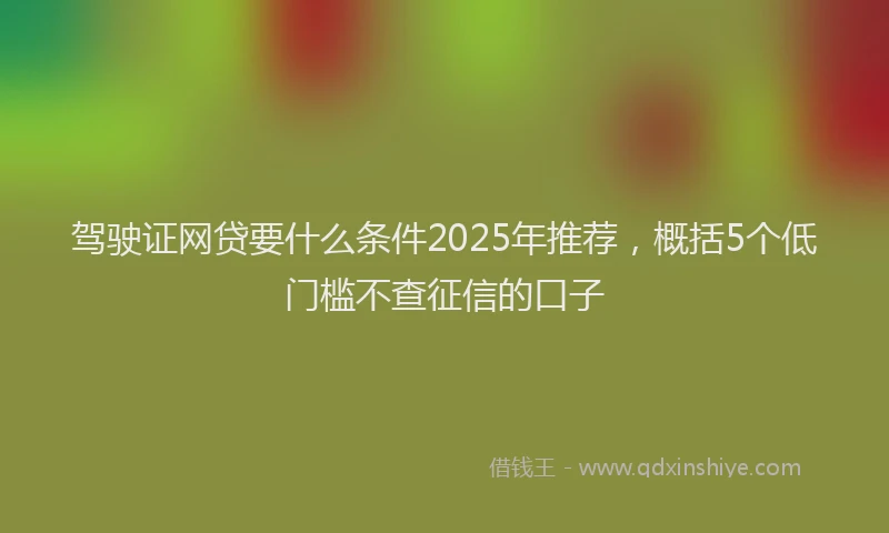 驾驶证网贷要什么条件2025年推荐，概括5个低门槛不查征信的口子