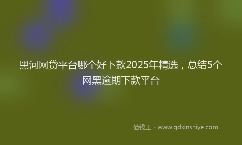 黑河网贷平台哪个好下款2025年精选，总结5个网黑逾期下款平台