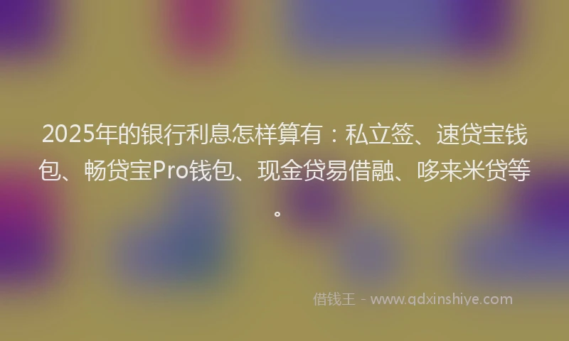 2025年的银行利息怎样算有：私立签、速贷宝钱包、畅贷宝Pro钱包、现金贷易借融、哆来米贷等。