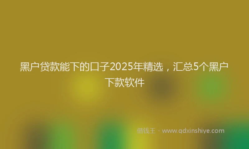 黑户贷款能下的口子2025年精选，汇总5个黑户下款软件