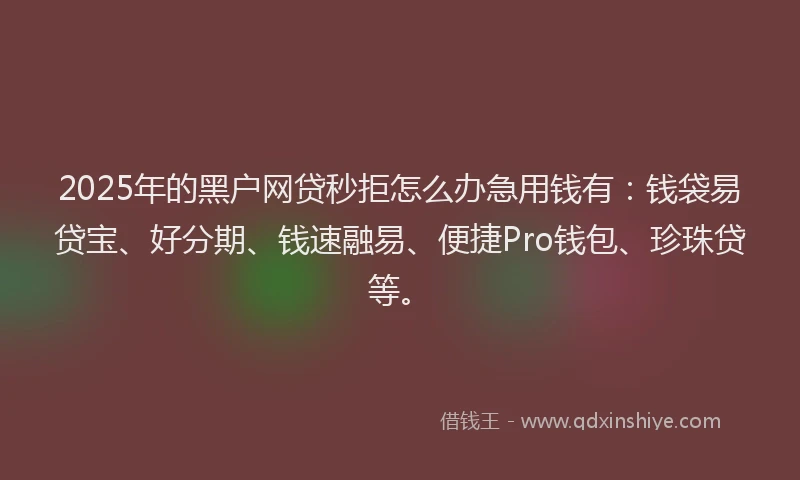 2025年的黑户网贷秒拒怎么办急用钱有：钱袋易贷宝、好分期、钱速融易、便捷Pro钱包、珍珠贷等。