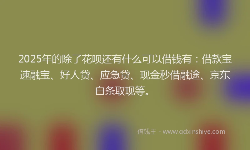 2025年的除了花呗还有什么可以借钱有：借款宝速融宝、好人贷、应急贷、现金秒借融途、京东白条取现等。