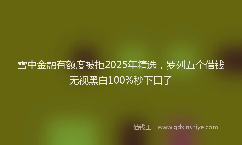 雪中金融有额度被拒2025年精选，罗列五个借钱无视黑白100%秒下口子