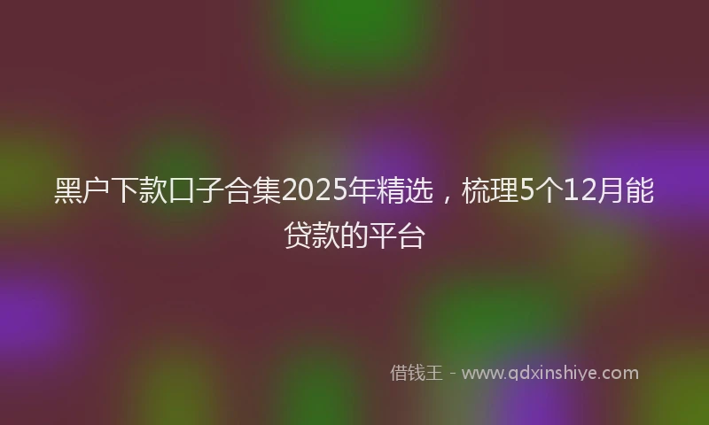 黑户下款口子合集2025年精选，梳理5个12月能贷款的平台