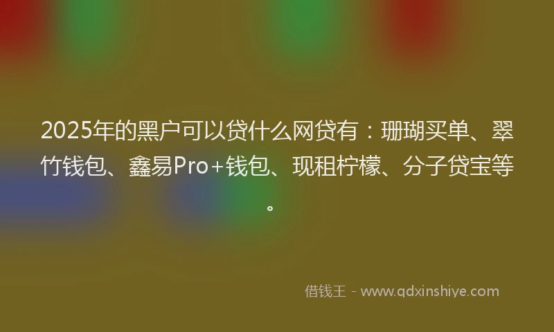2025年的黑户可以贷什么网贷有：珊瑚买单、翠竹钱包、鑫易Pro+钱包、现租柠檬、分子贷宝等。
