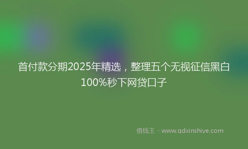 首付款分期2025年精选，整理五个无视征信黑白100%秒下网贷口子