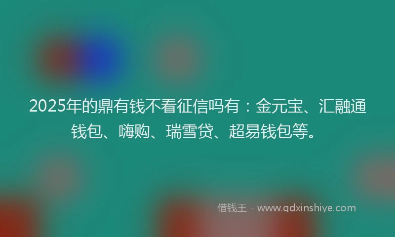 2025年的鼎有钱不看征信吗有：金元宝、汇融通钱包、嗨购、瑞雪贷、超易钱包等。
