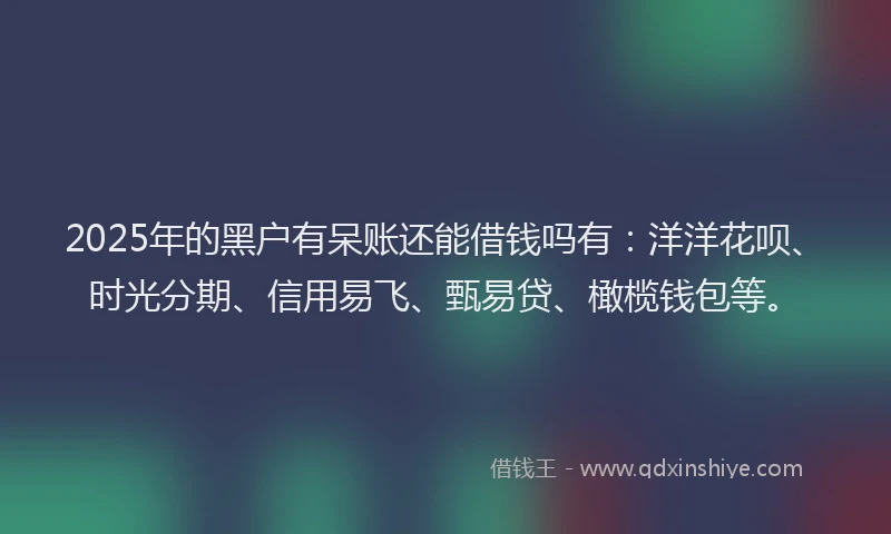 2025年的黑户有呆账还能借钱吗有：洋洋花呗、时光分期、信用易飞、甄易贷、橄榄钱包等。