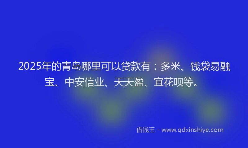2025年的青岛哪里可以贷款有：多米、钱袋易融宝、中安信业、天天盈、宜花呗等。