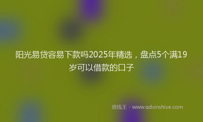 阳光易贷容易下款吗2025年精选，盘点5个满19岁可以借款的口子