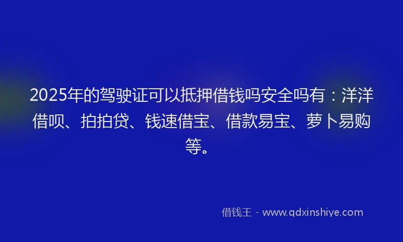 2025年的驾驶证可以抵押借钱吗安全吗有：洋洋借呗、拍拍贷、钱速借宝、借款易宝、萝卜易购等。