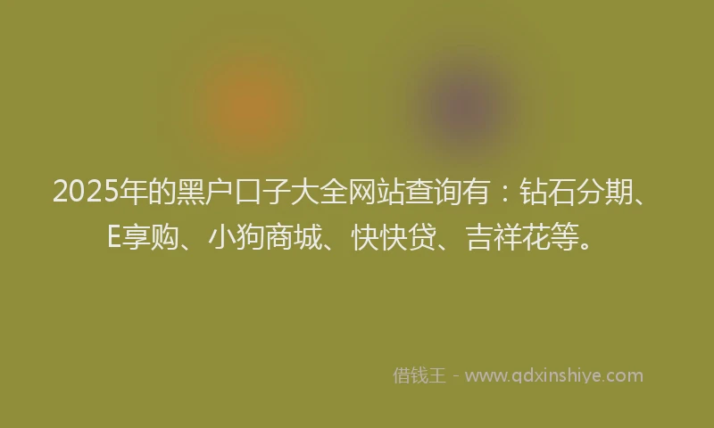 2025年的黑户口子大全网站查询有：钻石分期、E享购、小狗商城、快快贷、吉祥花等。
