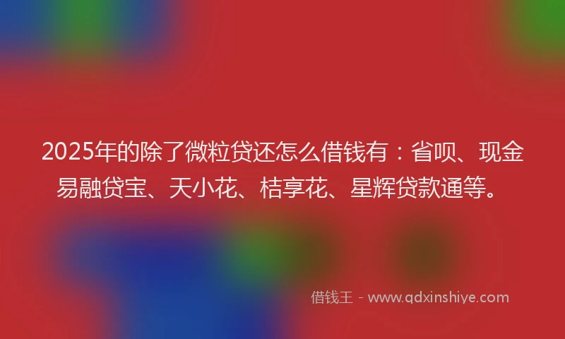 2025年的除了微粒贷还怎么借钱有：省呗、现金易融贷宝、天小花、桔享花、星辉贷款通等。