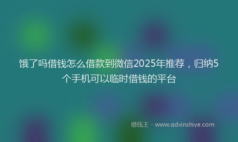 饿了吗借钱怎么借款到微信2025年推荐，归纳5个手机可以临时借钱的平台