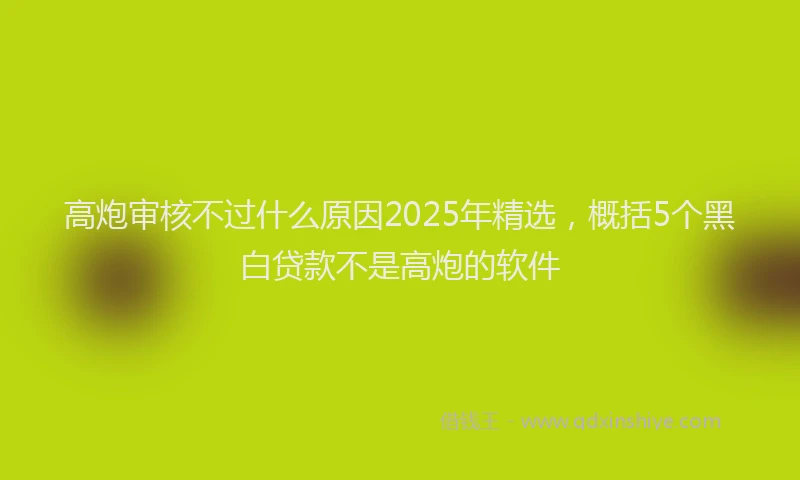 高炮审核不过什么原因2025年精选，概括5个黑白贷款不是高炮的软件