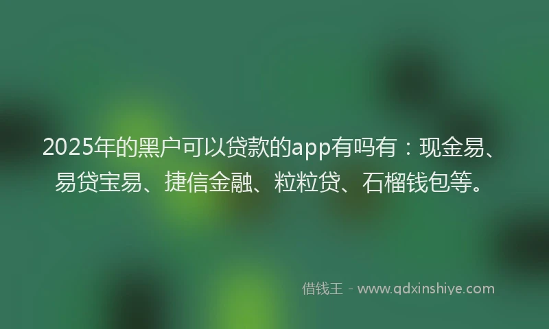 2025年的黑户可以贷款的app有吗有：现金易、易贷宝易、捷信金融、粒粒贷、石榴钱包等。