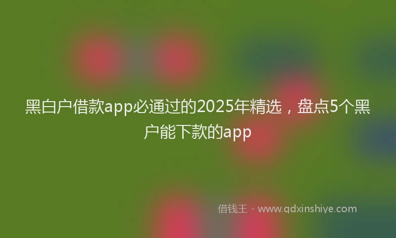 黑白户借款app必通过的2025年精选，盘点5个黑户能下款的app