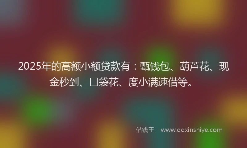 2025年的高额小额贷款有：甄钱包、葫芦花、现金秒到、口袋花、度小满速借等。