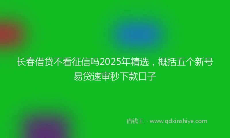 长春借贷不看征信吗2025年精选，概括五个新号易贷速审秒下款口子
