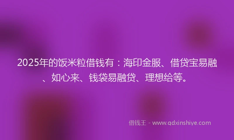 2025年的饭米粒借钱有：海印金服、借贷宝易融、如心来、钱袋易融贷、理想给等。