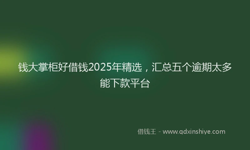 钱大掌柜好借钱2025年精选，汇总五个逾期太多能下款平台