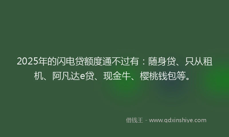 2025年的闪电贷额度通不过有：随身贷、只从租机、阿凡达e贷、现金牛、樱桃钱包等。