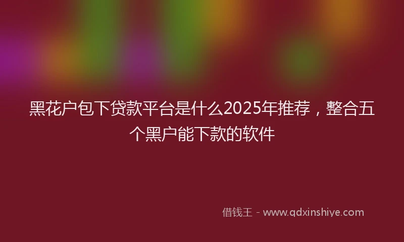 黑花户包下贷款平台是什么2025年推荐，整合五个黑户能下款的软件