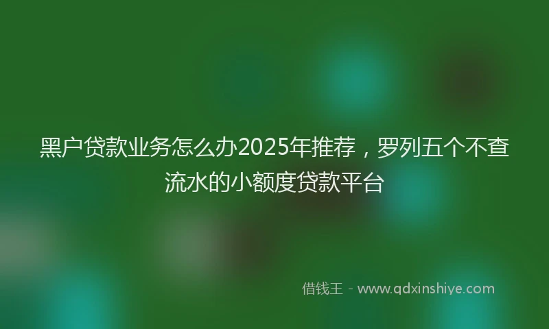 黑户贷款业务怎么办2025年推荐，罗列五个不查流水的小额度贷款平台