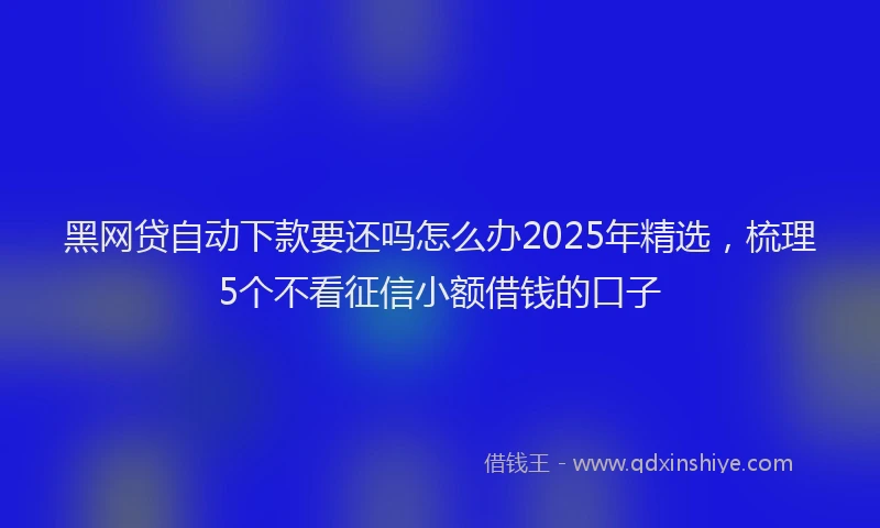黑网贷自动下款要还吗怎么办2025年精选，梳理5个不看征信小额借钱的口子