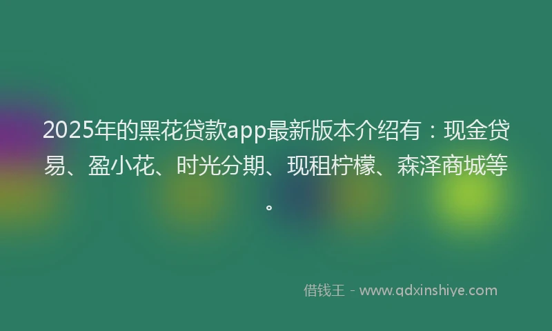 2025年的黑花贷款app最新版本介绍有：现金贷易、盈小花、时光分期、现租柠檬、森泽商城等。