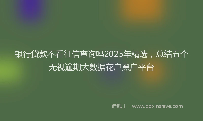银行贷款不看征信查询吗2025年精选，总结五个无视逾期大数据花户黑户平台