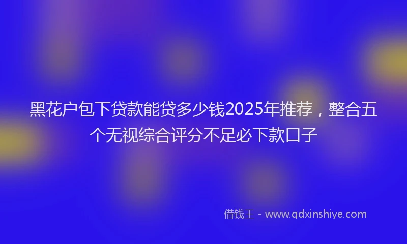 黑花户包下贷款能贷多少钱2025年推荐，整合五个无视综合评分不足必下款口子