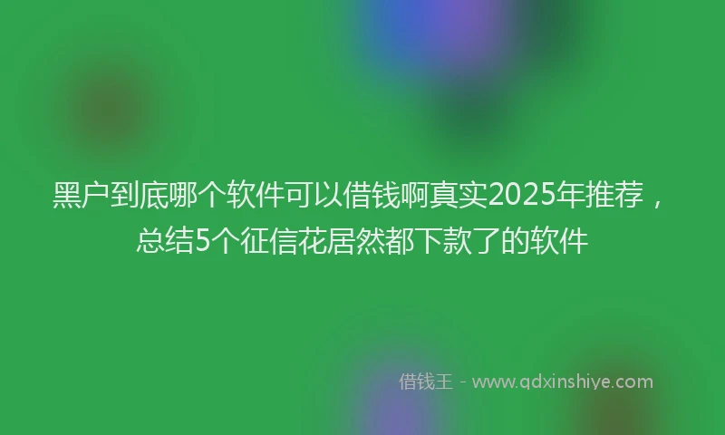 黑户到底哪个软件可以借钱啊真实2025年推荐，总结5个征信花居然都下款了的软件