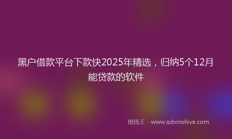 黑户借款平台下款快2025年精选，归纳5个12月能贷款的软件