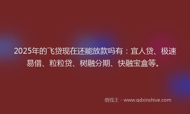 2025年的飞贷现在还能放款吗有：宜人贷、极速易借、粒粒贷、树融分期、快融宝盒等。
