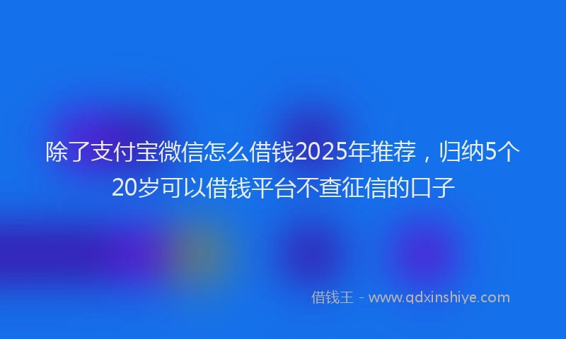 除了支付宝微信怎么借钱2025年推荐，归纳5个20岁可以借钱平台不查征信的口子