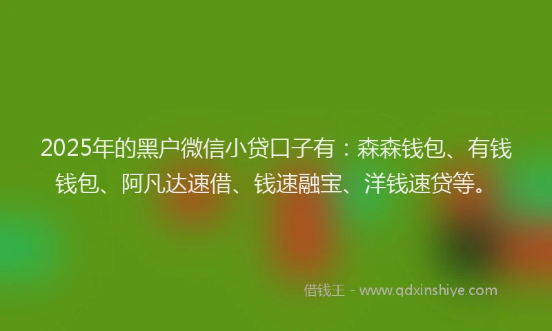 2025年的黑户微信小贷口子有：森森钱包、有钱钱包、阿凡达速借、钱速融宝、洋钱速贷等。