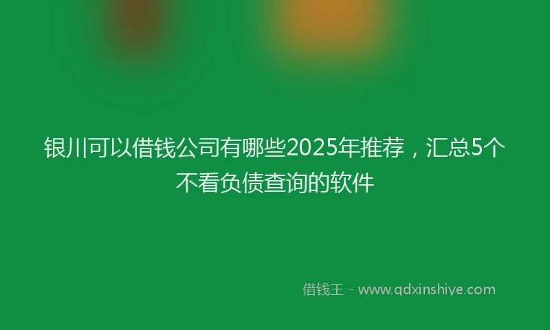 银川可以借钱公司有哪些2025年推荐，汇总5个不看负债查询的软件