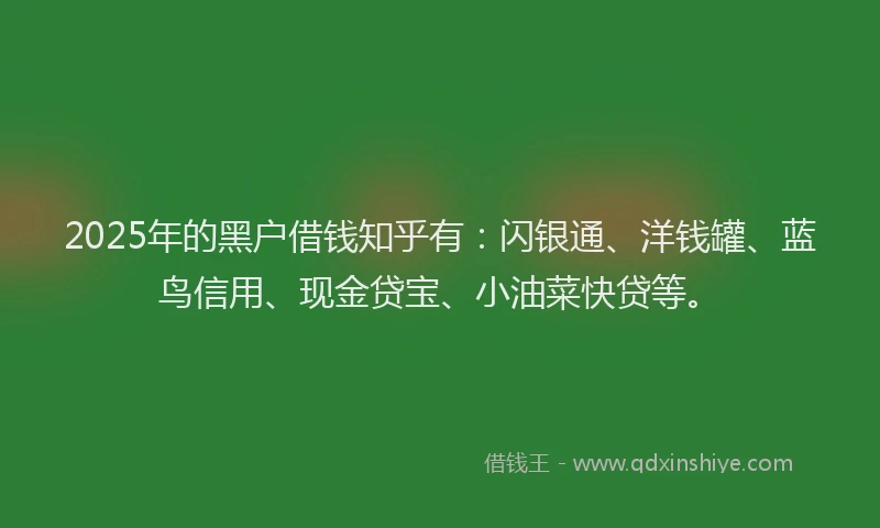 2025年的黑户借钱知乎有：闪银通、洋钱罐、蓝鸟信用、现金贷宝、小油菜快贷等。